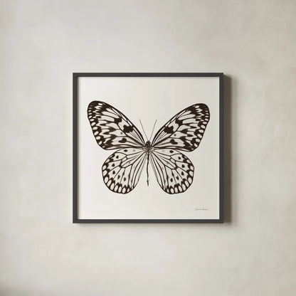 Butterfly V BW on White by Debra Van Swearingen. Shown in a sleek black glass frame for a contemporary gallery look. Available as an archival giclee rolled canvas, fine art paper, or poster print. SKU 92206a.
