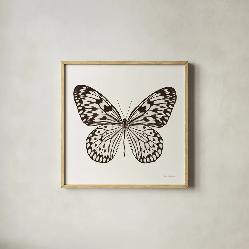 Butterfly V BW on White by Debra Van Swearingen. Shown in a natural wood glass frame for a timeless modern aesthetic. Available as an archival giclee rolled canvas, fine art paper, or poster print. SKU 92206a.