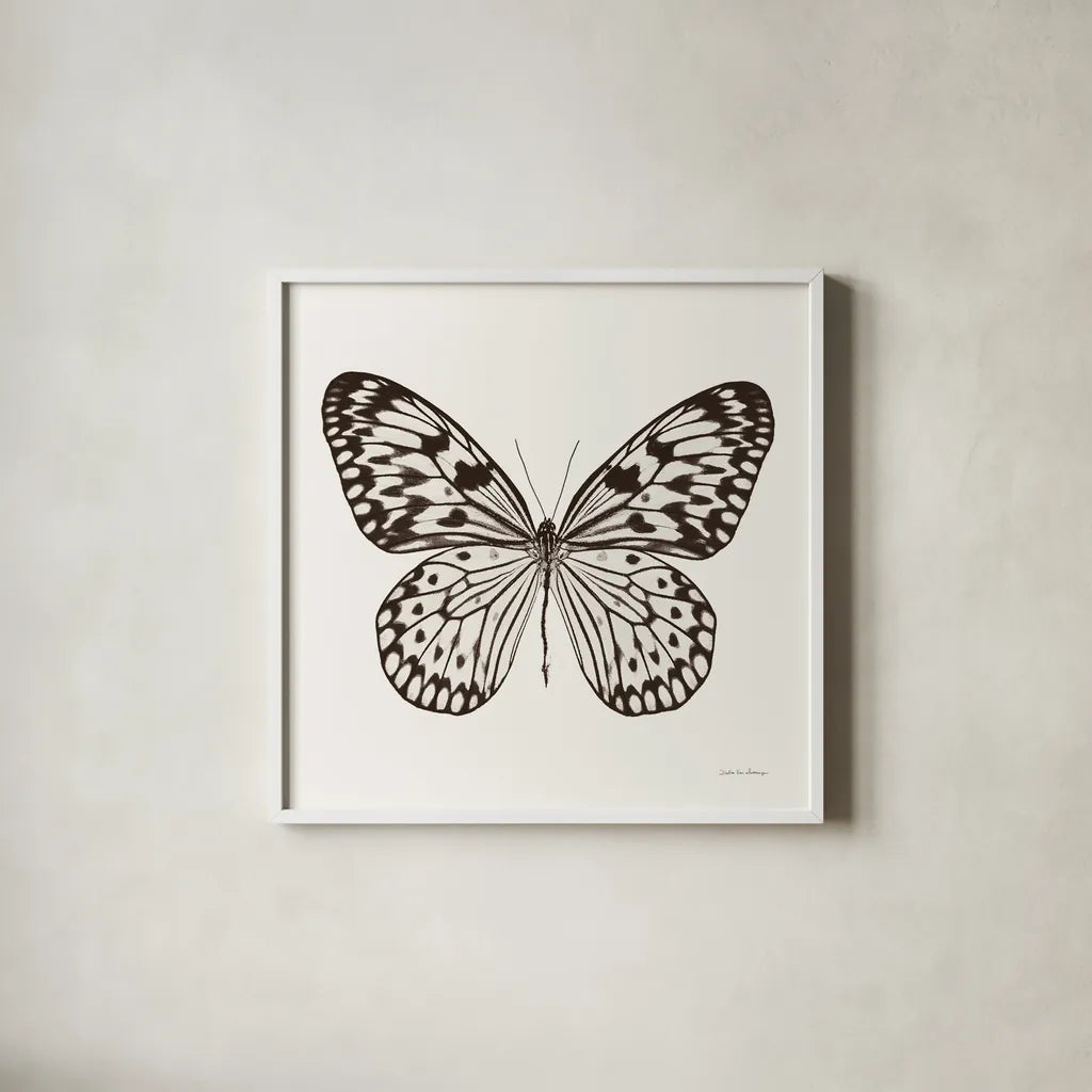 Butterfly V BW on White by Debra Van Swearingen. Shown in a crisp white glass frame for a clean and minimalist style. Available as an archival giclee rolled canvas, fine art paper, or poster print. SKU 92206a.