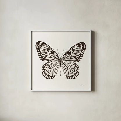 Butterfly V BW on White by Debra Van Swearingen. Shown in a crisp white glass frame for a clean and minimalist style. Available as an archival giclee rolled canvas, fine art paper, or poster print. SKU 92206a.