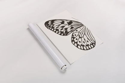 Butterfly V BW on White Crop I by Debra Van Swearingen. shown as a rolled paper print. Available as archival giclee rolled canvas, fine art paper, or poster print. SKU 92208h.