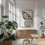 Butterfly V BW on White Crop I by Debra Van Swearingen. shown as a print in a natural wood frame in a dining room. Available as a archival giclee rolled canvas, fine art paper, or poster print. SKU 92208h.