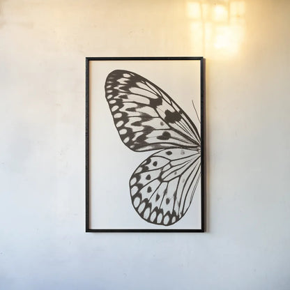Butterfly V BW on White Crop I by Debra Van Swearingen. shown as a paper print in a black flame. Available as a archival giclee rolled canvas, fine art paper, or poster print. SKU 92208h.