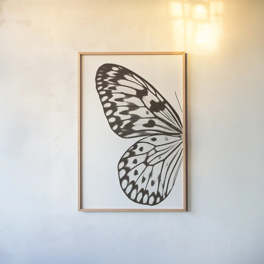 Butterfly V BW on White Crop I by Debra Van Swearingen. shown as a paper print in a natural frame. Available as a archival giclee rolled canvas, fine art paper, or poster print. SKU 92208h.