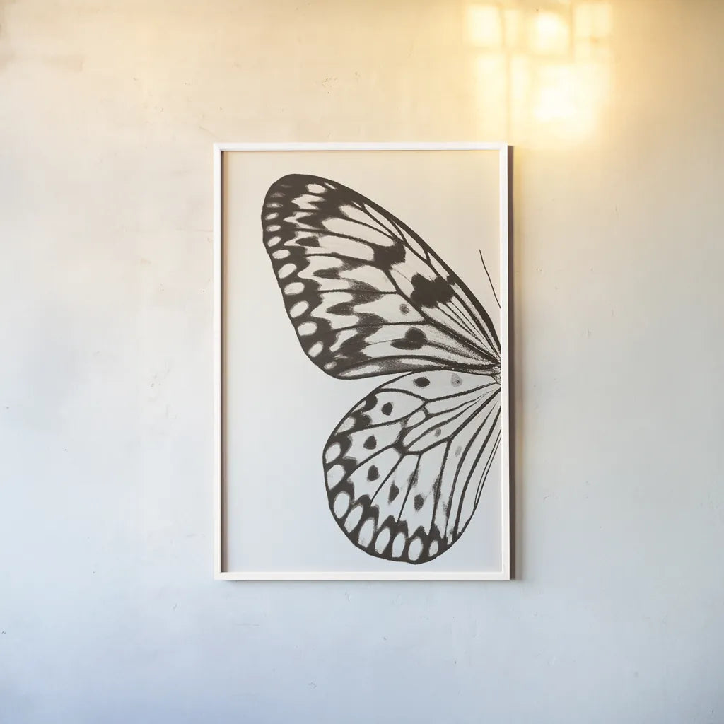 Butterfly V BW on White Crop I by Debra Van Swearingen. shown as a paper print in a white frame. Available as a archival giclee rolled canvas, fine art paper, or poster print. SKU 92208h.