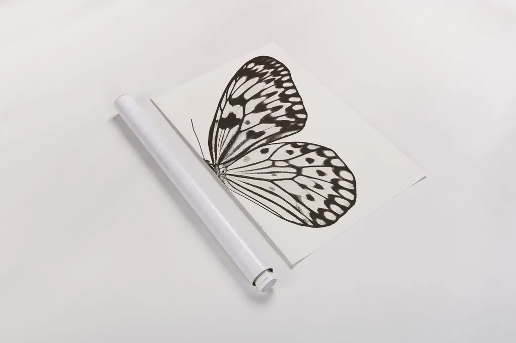 Butterfly V BW on White Crop II by Debra Van Swearingen. shown as a rolled paper print. Available as archival giclee rolled canvas, fine art paper, or poster print. SKU 92209h.