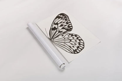 Butterfly V BW on White Crop II by Debra Van Swearingen. shown as a rolled paper print. Available as archival giclee rolled canvas, fine art paper, or poster print. SKU 92209h.