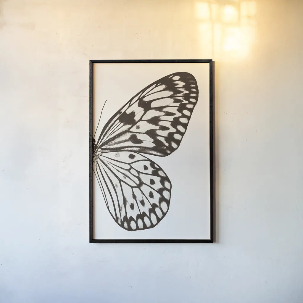 Butterfly V BW on White Crop II by Debra Van Swearingen. shown as a paper print in a black flame. Available as a archival giclee rolled canvas, fine art paper, or poster print. SKU 92209h.