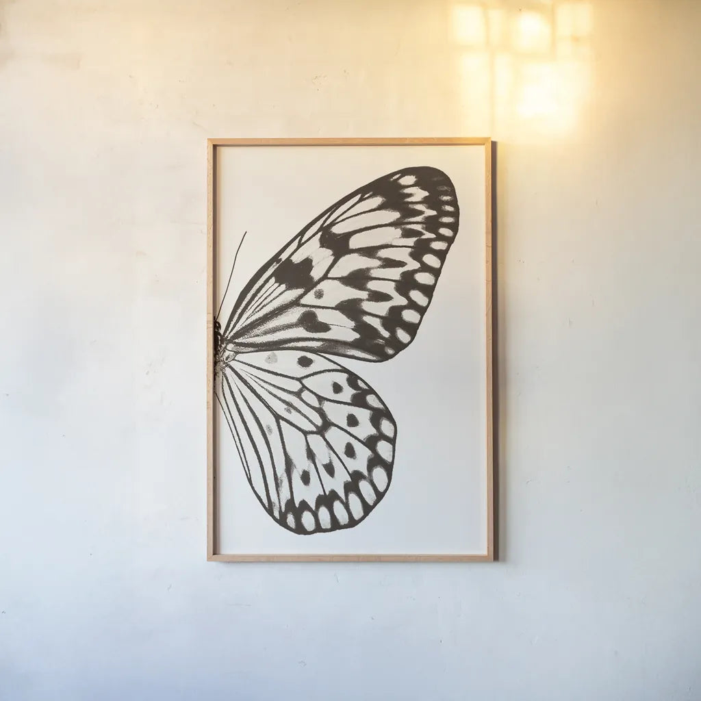 Butterfly V BW on White Crop II by Debra Van Swearingen. shown as a paper print in a natural frame. Available as a archival giclee rolled canvas, fine art paper, or poster print. SKU 92209h.