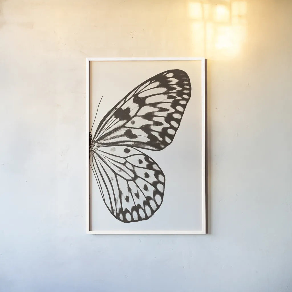 Butterfly V BW on White Crop II by Debra Van Swearingen. shown as a paper print in a white frame. Available as a archival giclee rolled canvas, fine art paper, or poster print. SKU 92209h.