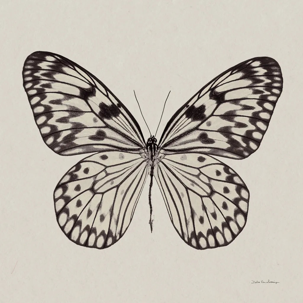 Butterfly V Gray by Debra Van Swearingen. SKU 92345a. Archival Giclee Fine art print for wall decor.
