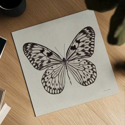 Butterfly V Gray by Debra Van Swearingen. Shown as a detailed flat fine art print, highlighting archival giclee quality. Available as an archival giclee rolled canvas, fine art paper, or poster print. SKU 92345a.