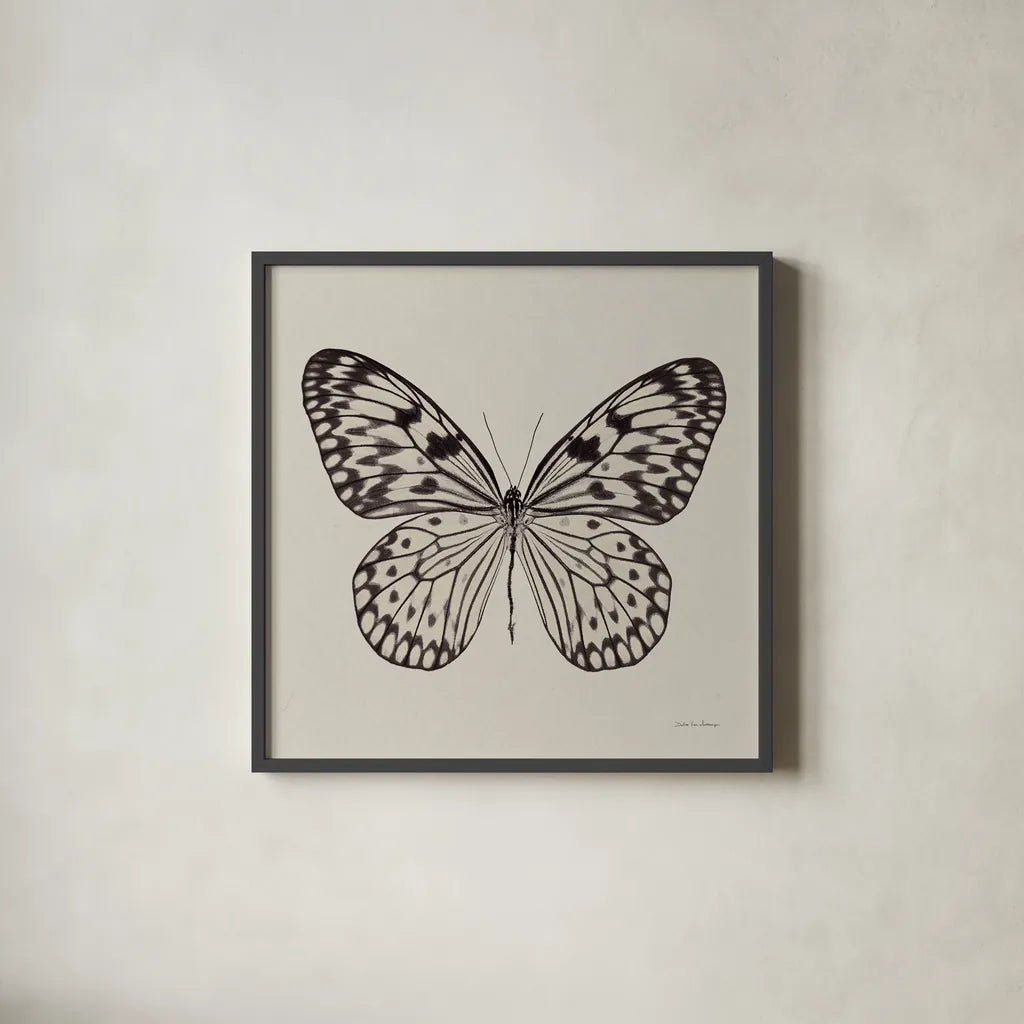 Butterfly V Gray by Debra Van Swearingen. Shown in a sleek black glass frame for a contemporary gallery look. Available as an archival giclee rolled canvas, fine art paper, or poster print. SKU 92345a.