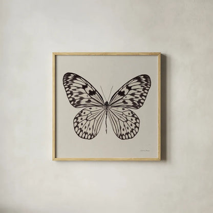 Butterfly V Gray by Debra Van Swearingen. Shown in a natural wood glass frame for a timeless modern aesthetic. Available as an archival giclee rolled canvas, fine art paper, or poster print. SKU 92345a.