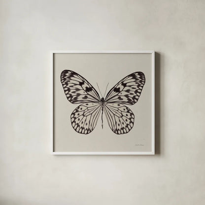 Butterfly V Gray by Debra Van Swearingen. Shown in a crisp white glass frame for a clean and minimalist style. Available as an archival giclee rolled canvas, fine art paper, or poster print. SKU 92345a.