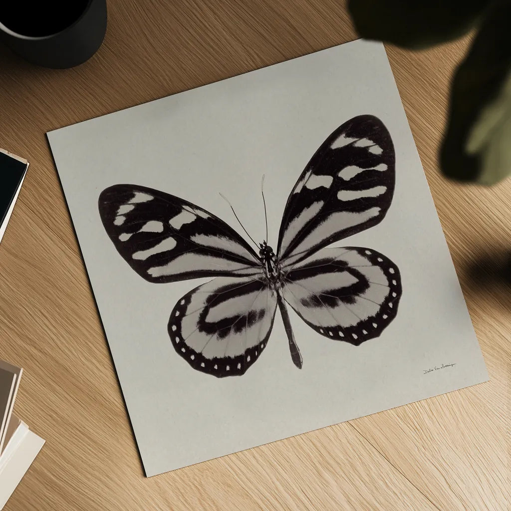 Butterfly V Gray by Debra Van Swearingen. Shown as a detailed flat fine art print, highlighting archival giclee quality. Available as an archival giclee rolled canvas, fine art paper, or poster print. SKU 92347a.