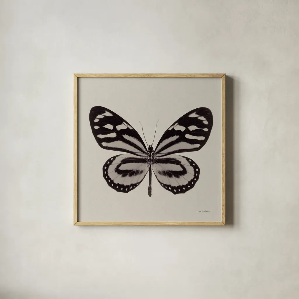 Butterfly V Gray by Debra Van Swearingen. Shown in a natural wood glass frame for a timeless modern aesthetic. Available as an archival giclee rolled canvas, fine art paper, or poster print. SKU 92347a.
