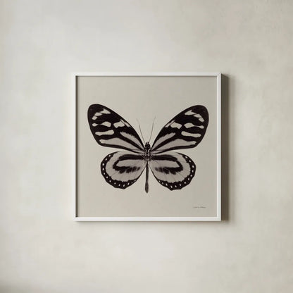 Butterfly V Gray by Debra Van Swearingen. Shown in a crisp white glass frame for a clean and minimalist style. Available as an archival giclee rolled canvas, fine art paper, or poster print. SKU 92347a.