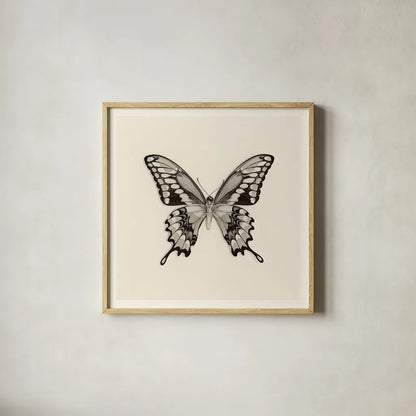 Butterfly VI BW by Debra Van Swearingen. Shown in a natural wood glass frame for a timeless modern aesthetic. Available as an archival giclee rolled canvas, fine art paper, or poster print. SKU 25727a.