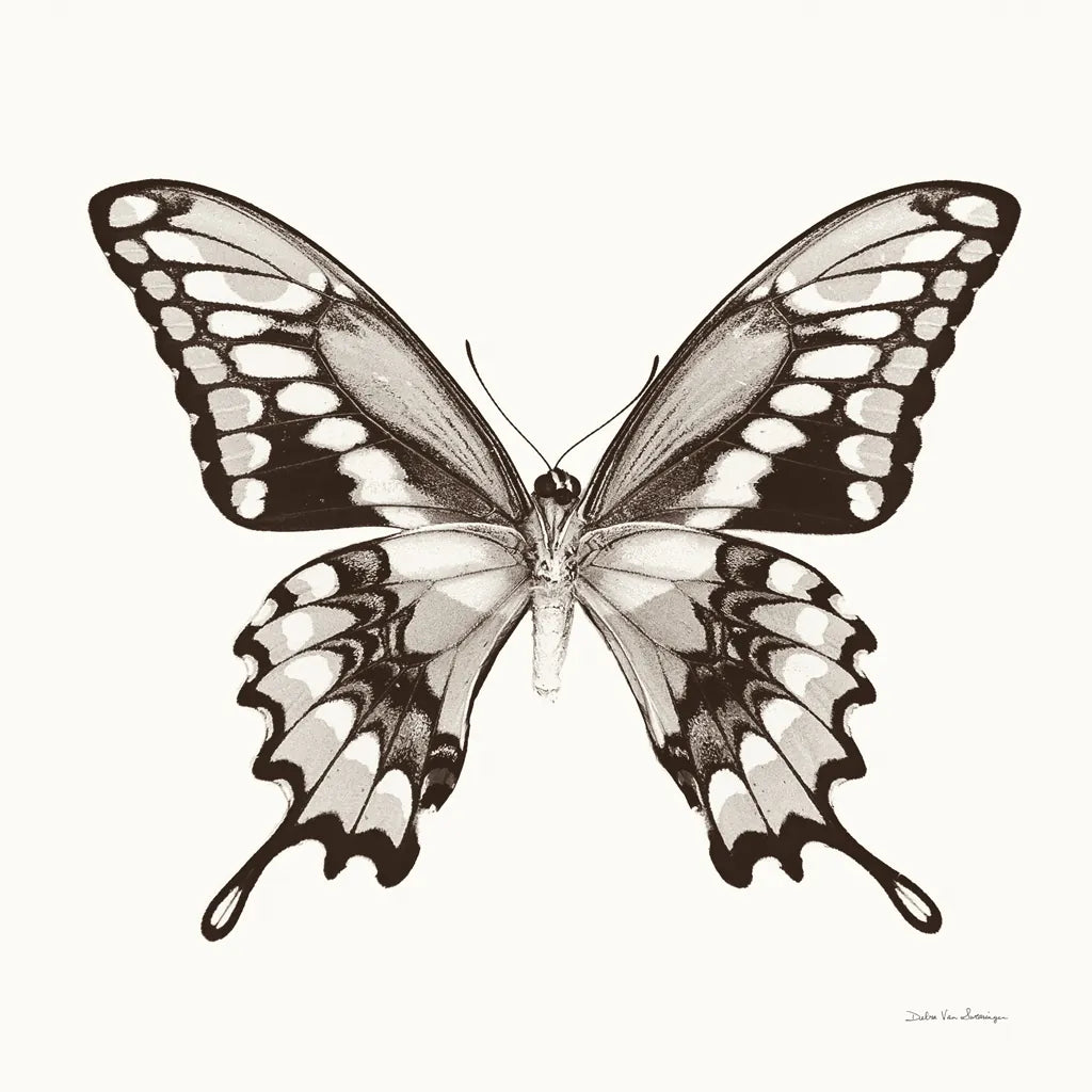 Butterfly VI BW on White by Debra Van Swearingen. SKU 92207a. Archival Giclee Fine art print for wall decor.
