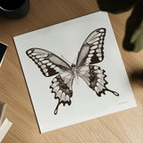 Butterfly VI BW on White by Debra Van Swearingen. Shown as a detailed flat fine art print, highlighting archival giclee quality. Available as an archival giclee rolled canvas, fine art paper, or poster print. SKU 92207a.