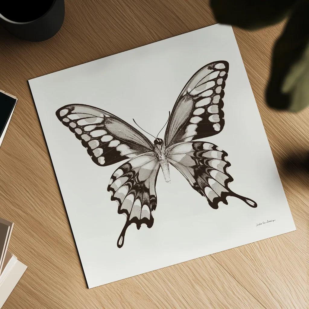 Butterfly VI BW on White by Debra Van Swearingen. Shown as a detailed flat fine art print, highlighting archival giclee quality. Available as an archival giclee rolled canvas, fine art paper, or poster print. SKU 92207a.