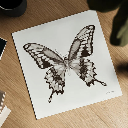 Butterfly VI BW on White by Debra Van Swearingen. Shown as a detailed flat fine art print, highlighting archival giclee quality. Available as an archival giclee rolled canvas, fine art paper, or poster print. SKU 92207a.