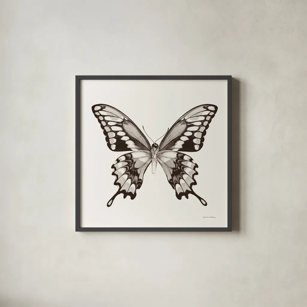 Butterfly VI BW on White by Debra Van Swearingen. Shown in a sleek black glass frame for a contemporary gallery look. Available as an archival giclee rolled canvas, fine art paper, or poster print. SKU 92207a.