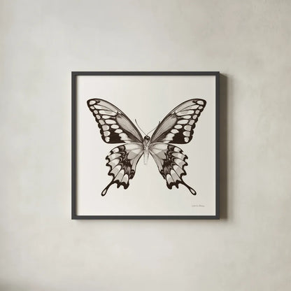 Butterfly VI BW on White by Debra Van Swearingen. Shown in a sleek black glass frame for a contemporary gallery look. Available as an archival giclee rolled canvas, fine art paper, or poster print. SKU 92207a.
