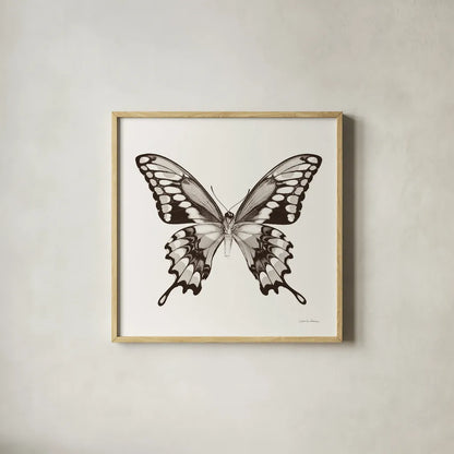 Butterfly VI BW on White by Debra Van Swearingen. Shown in a natural wood glass frame for a timeless modern aesthetic. Available as an archival giclee rolled canvas, fine art paper, or poster print. SKU 92207a.