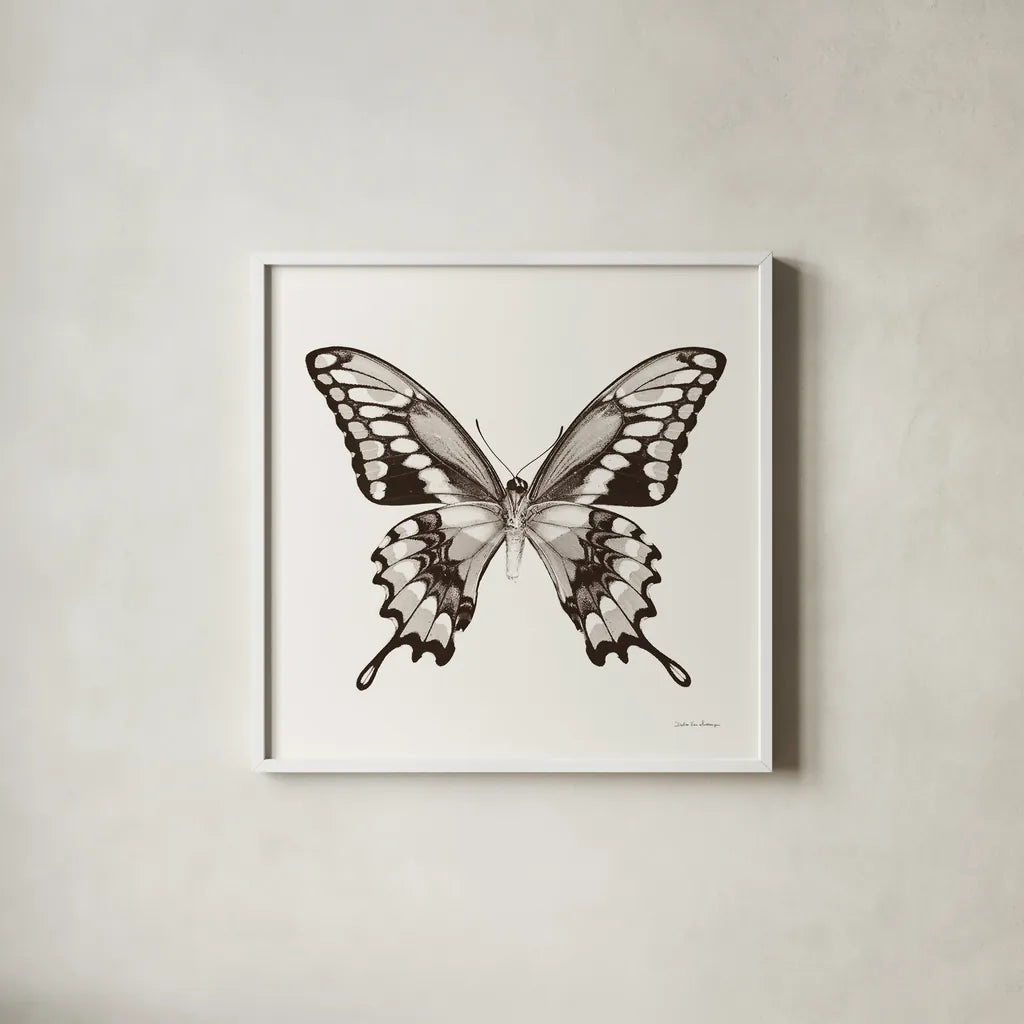 Butterfly VI BW on White by Debra Van Swearingen. Shown in a crisp white glass frame for a clean and minimalist style. Available as an archival giclee rolled canvas, fine art paper, or poster print. SKU 92207a.