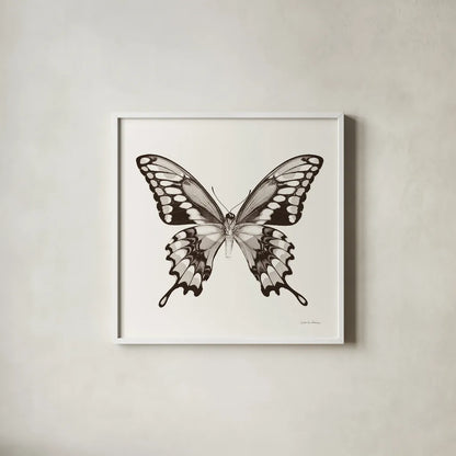 Butterfly VI BW on White by Debra Van Swearingen. Shown in a crisp white glass frame for a clean and minimalist style. Available as an archival giclee rolled canvas, fine art paper, or poster print. SKU 92207a.