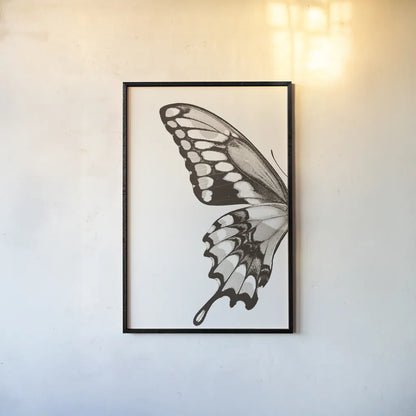 Butterfly VI BW on White Crop I by Debra Van Swearingen. shown as a paper print in a black flame. Available as a archival giclee rolled canvas, fine art paper, or poster print. SKU 92210h.
