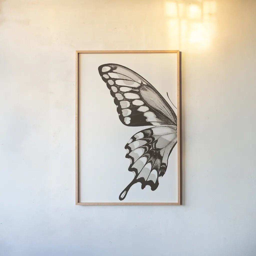 Butterfly VI BW on White Crop I by Debra Van Swearingen. shown as a paper print in a natural frame. Available as a archival giclee rolled canvas, fine art paper, or poster print. SKU 92210h.