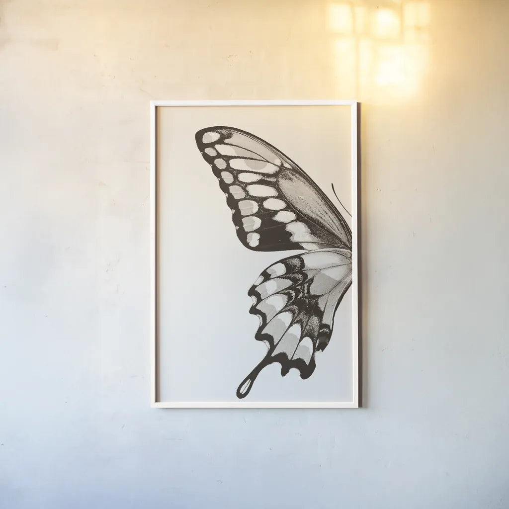 Butterfly VI BW on White Crop I by Debra Van Swearingen. shown as a paper print in a white frame. Available as a archival giclee rolled canvas, fine art paper, or poster print. SKU 92210h.