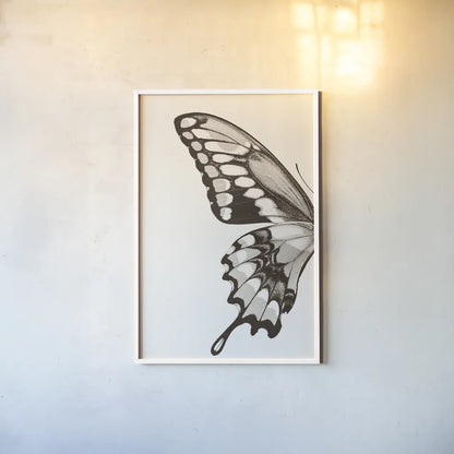 Butterfly VI BW on White Crop I by Debra Van Swearingen. shown as a paper print in a white frame. Available as a archival giclee rolled canvas, fine art paper, or poster print. SKU 92210h.