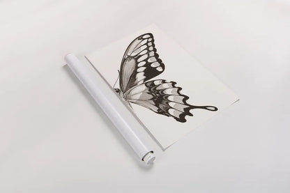 Butterfly VI BW on White Crop II by Debra Van Swearingen. shown as a rolled paper print. Available as archival giclee rolled canvas, fine art paper, or poster print. SKU 92211h.