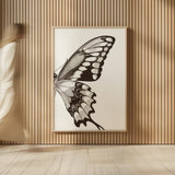 Butterfly VI BW on White Crop II by Debra Van Swearingen. shown as over sized large wall art. Available as an archival giclee rolled canvas, fine art paper, or poster print. SKU 92211h.