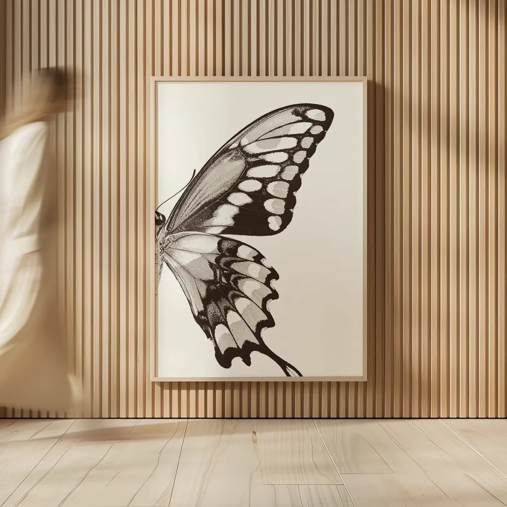 Butterfly VI BW on White Crop II by Debra Van Swearingen. shown as over sized large wall art. Available as an archival giclee rolled canvas, fine art paper, or poster print. SKU 92211h.