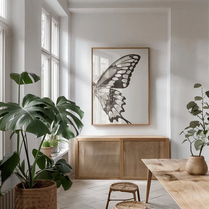 Butterfly VI BW on White Crop II by Debra Van Swearingen. shown as a print in a natural wood frame in a dining room. Available as a archival giclee rolled canvas, fine art paper, or poster print. SKU 92211h.