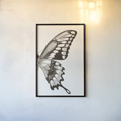 Butterfly VI BW on White Crop II by Debra Van Swearingen. shown as a paper print in a black flame. Available as a archival giclee rolled canvas, fine art paper, or poster print. SKU 92211h.