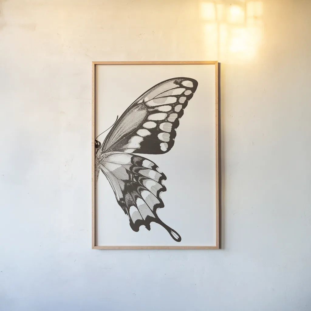 Butterfly VI BW on White Crop II by Debra Van Swearingen. shown as a paper print in a natural frame. Available as a archival giclee rolled canvas, fine art paper, or poster print. SKU 92211h.