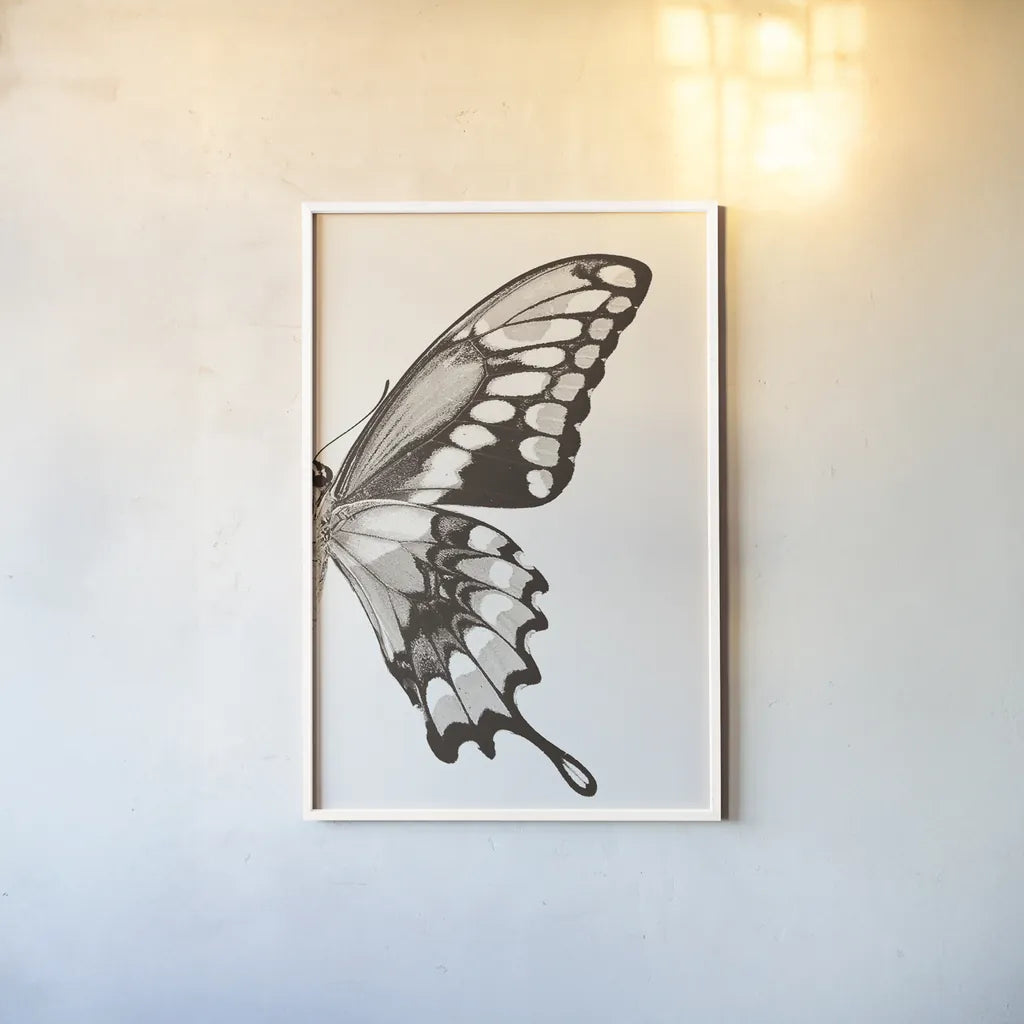 Butterfly VI BW on White Crop II by Debra Van Swearingen. shown as a paper print in a white frame. Available as a archival giclee rolled canvas, fine art paper, or poster print. SKU 92211h.
