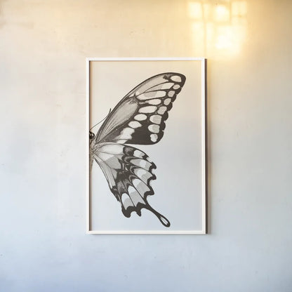 Butterfly VI BW on White Crop II by Debra Van Swearingen. shown as a paper print in a white frame. Available as a archival giclee rolled canvas, fine art paper, or poster print. SKU 92211h.