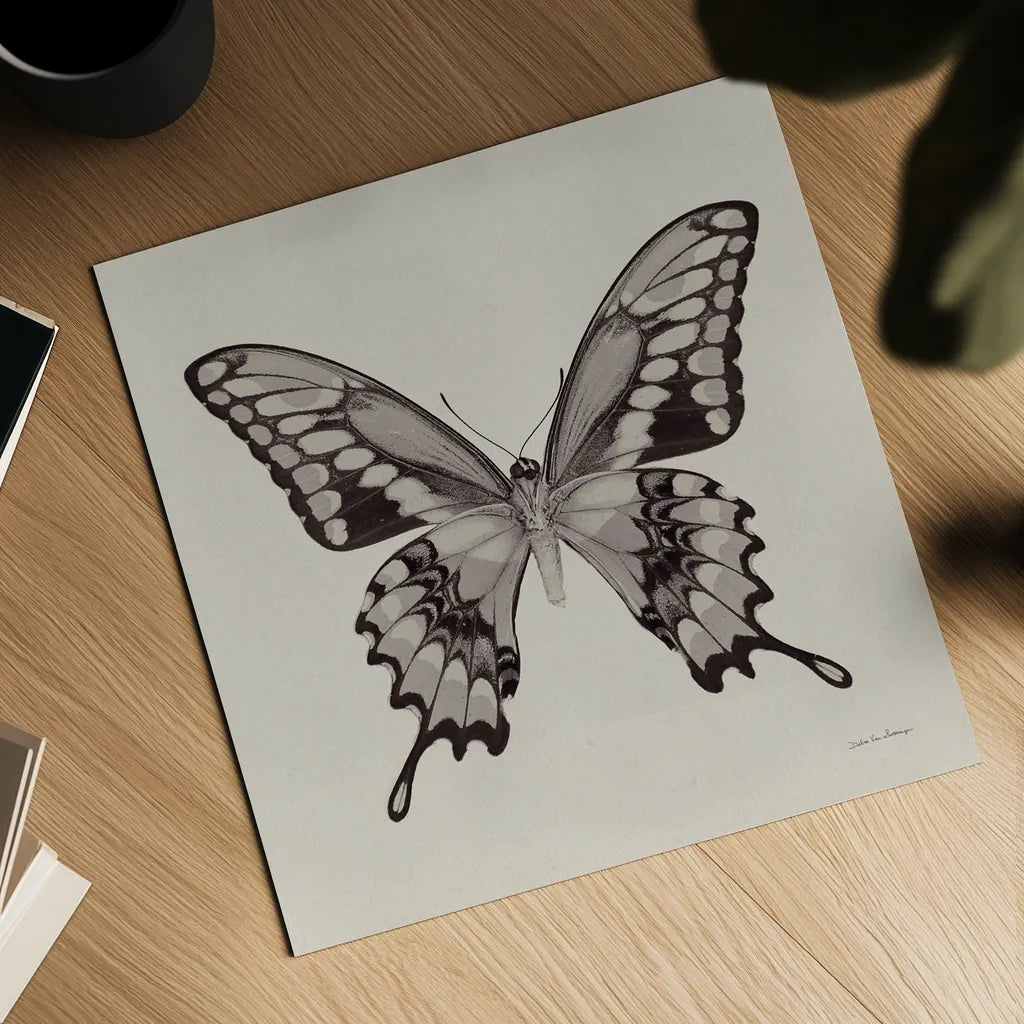 Butterfly VI Gray by Debra Van Swearingen. Shown as a detailed flat fine art print, highlighting archival giclee quality. Available as an archival giclee rolled canvas, fine art paper, or poster print. SKU 92346a.