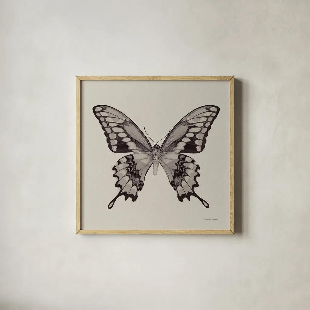 Butterfly VI Gray by Debra Van Swearingen. Shown in a natural wood glass frame for a timeless modern aesthetic. Available as an archival giclee rolled canvas, fine art paper, or poster print. SKU 92346a.