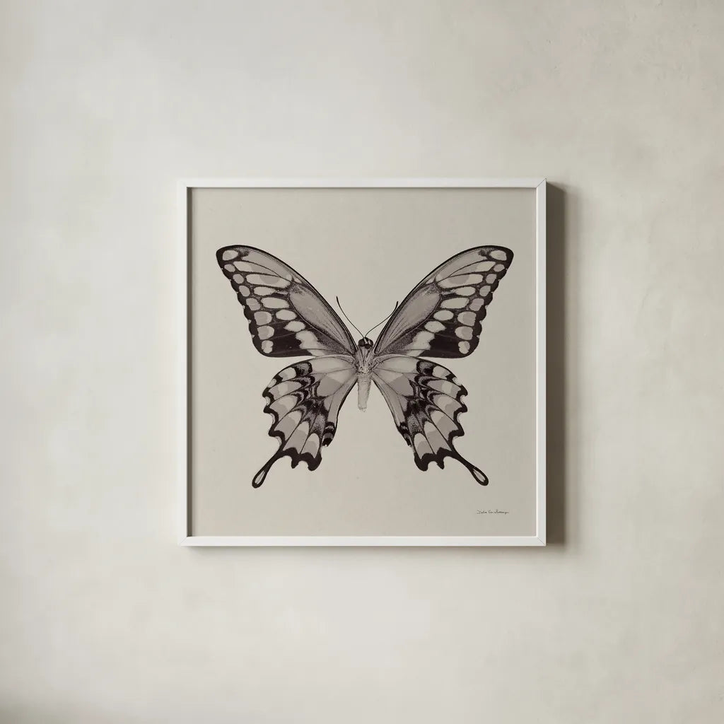Butterfly VI Gray by Debra Van Swearingen. Shown in a crisp white glass frame for a clean and minimalist style. Available as an archival giclee rolled canvas, fine art paper, or poster print. SKU 92346a.