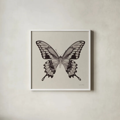 Butterfly VI Gray by Debra Van Swearingen. Shown in a crisp white glass frame for a clean and minimalist style. Available as an archival giclee rolled canvas, fine art paper, or poster print. SKU 92346a.