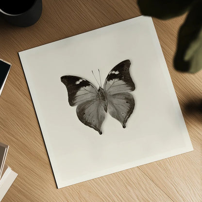 Butterfly VII BW by Debra Van Swearingen. Shown as a detailed flat fine art print, highlighting archival giclee quality. Available as an archival giclee rolled canvas, fine art paper, or poster print. SKU 25728a.