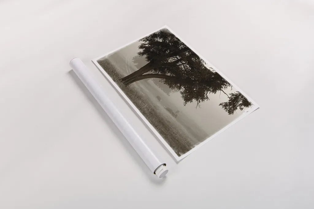 Calm Mist by Debra Van Swearingen. shown as a rolled paper print. Available as archival giclee rolled canvas, fine art paper, or poster print. SKU 23491i.